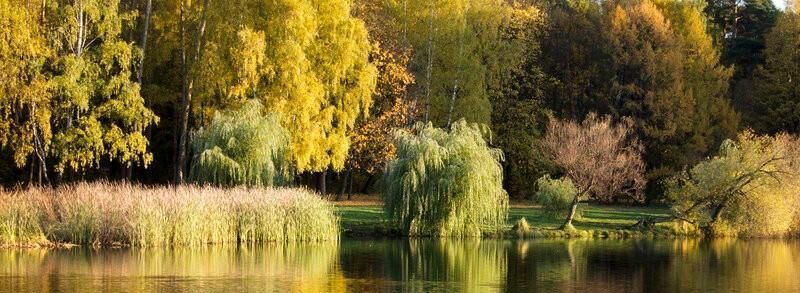 Аренда 2к квартиры на Волоколамское шоссе, 24к1, метро Стрешнево, г. Москва