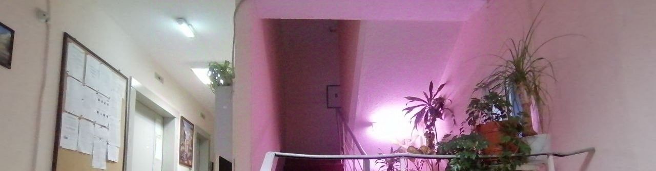 Сдается 1к квартира на улица Дыбенко, 10К1, метро Ховрино, г. Москва