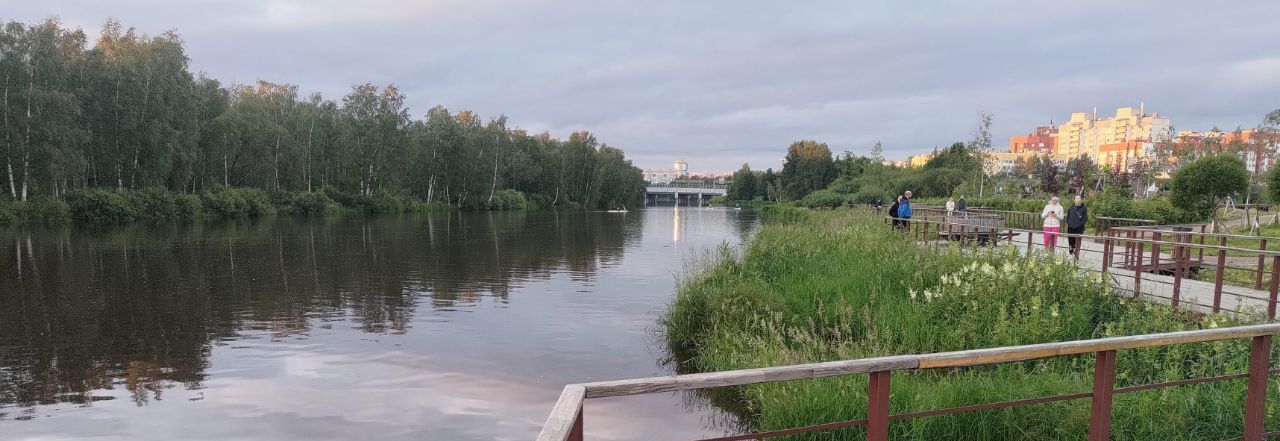 Аренда 1-к квартиры на Богатырский проспект, 49к2, г. Санкт-Петербург
