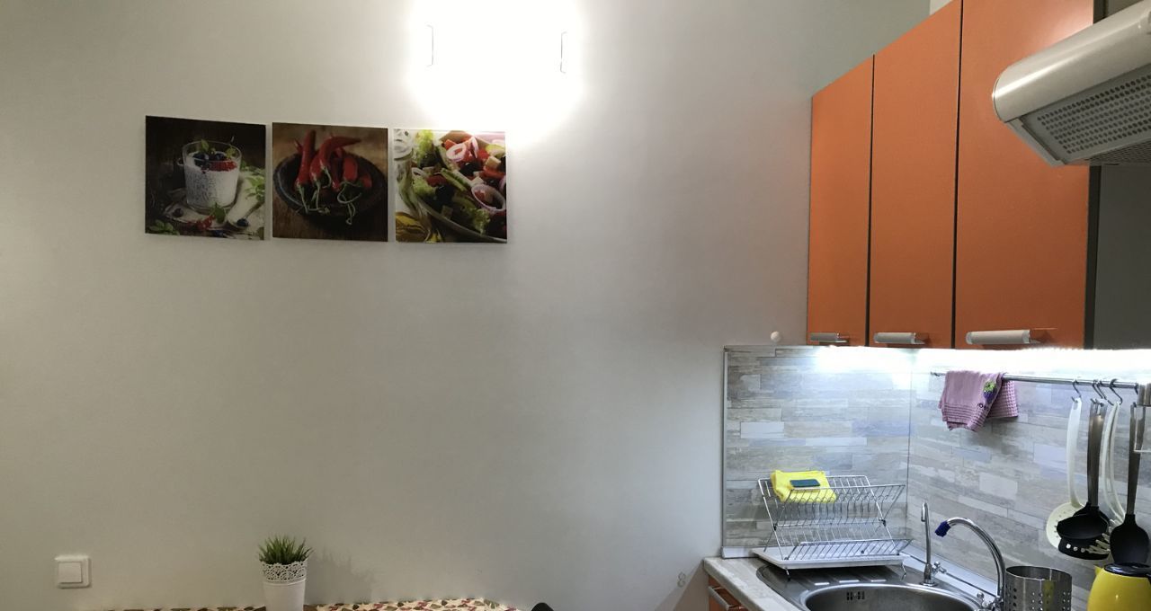 Аренда 1к квартиры на Кременчугская улица, 17к3, метро Площадь Восстания, г. Санкт-Петербург