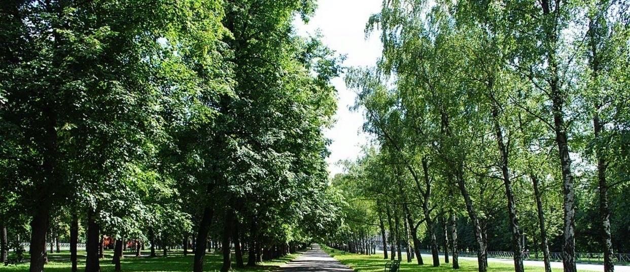 Снять 2х-комнатную квартиру на бульвар Генерала Карбышева, 16, г. Москва