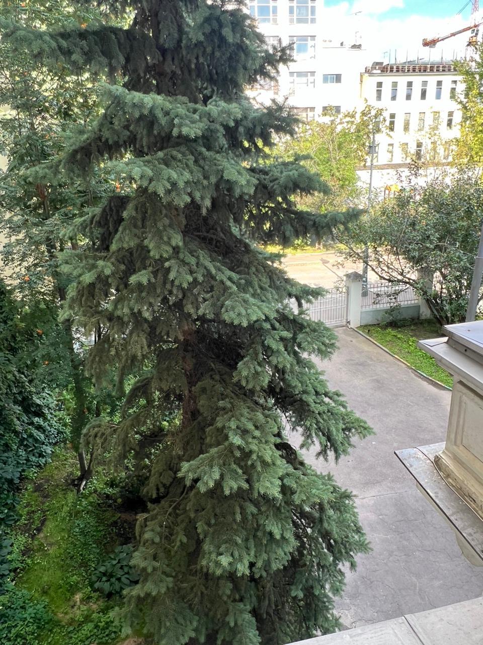 Сдам комнату на г Москва, 2-й Обыденский пер, д 13, метро Кропоткинская, г. Москва