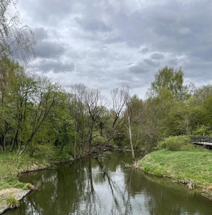 Снять 1-комнатную квартиру на улица Жемчужная, 1к7, метро Саларьево, г. Москва