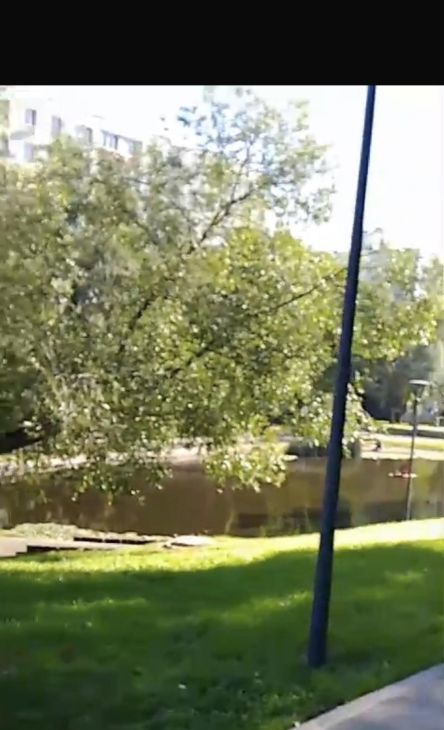 Снять 1-к квартиру на Миклухо-Маклая улица, 57К2, метро Калужская, г. Москва