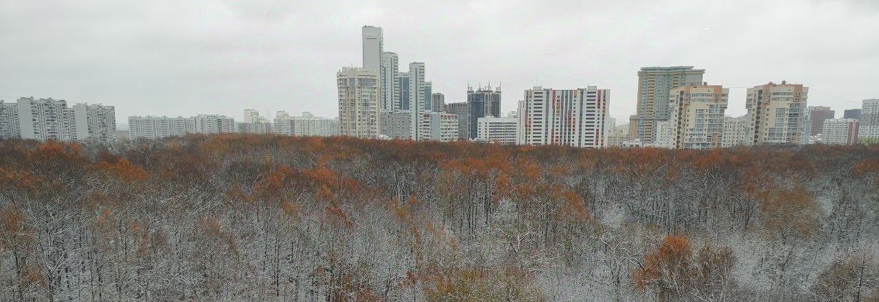 Сдаю 3-комнатную квартиру на улица Академика Павлова, 56к1, метро Молодёжная, г. Москва