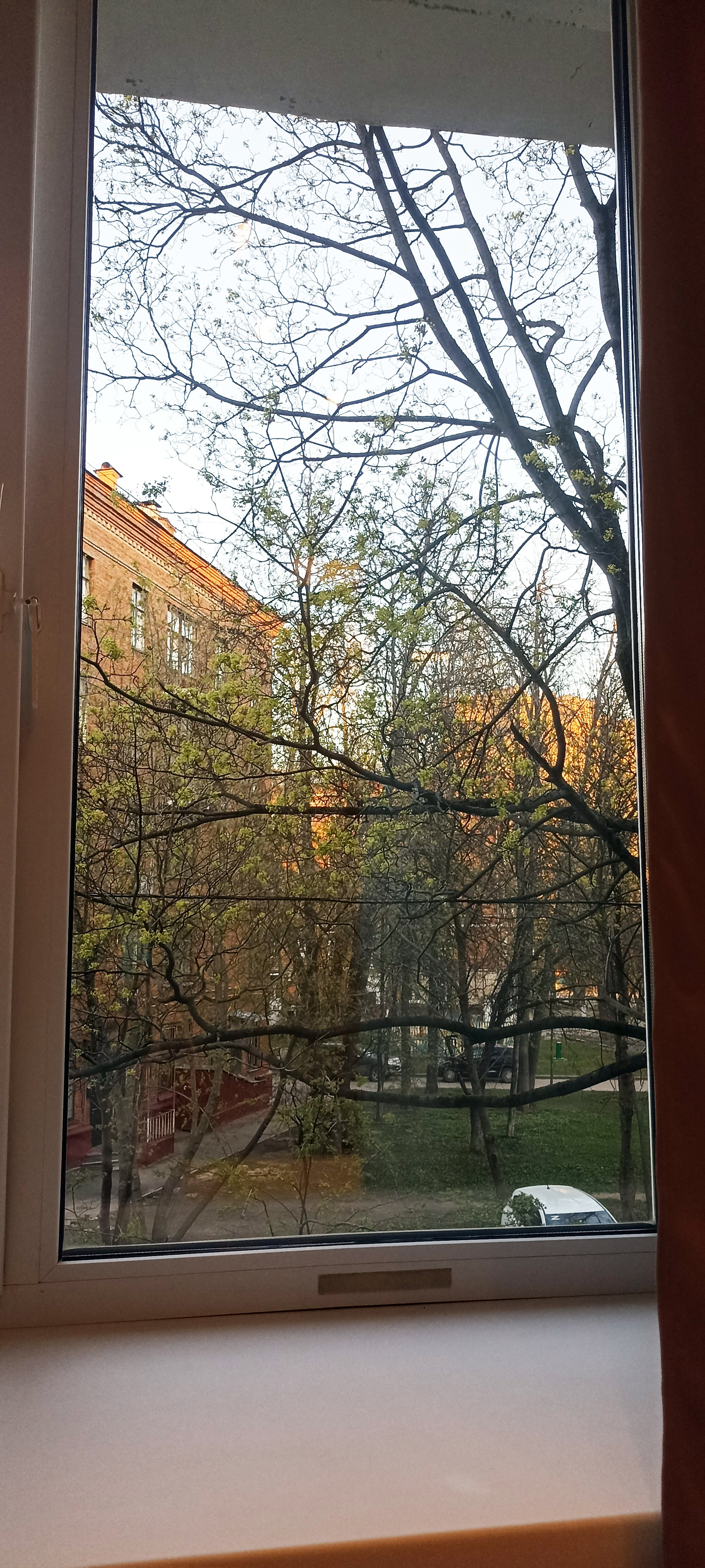 Сдам 2х-комнатную квартиру на Кржижановского, д.23, к.2, метро Профсоюзная, г. Москва
