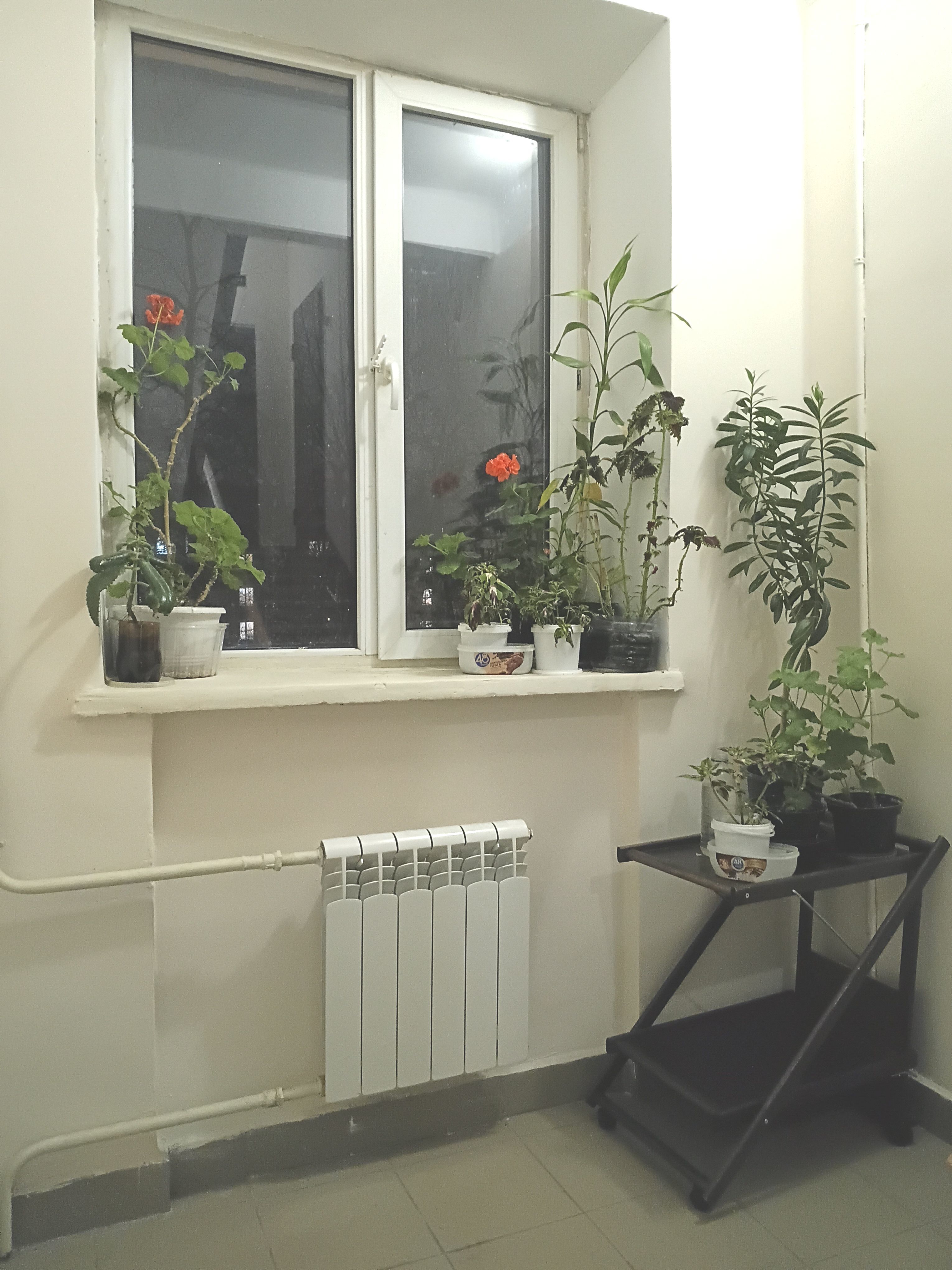 Сдаю 2х-комнатную квартиру на г Москва, ул Мартеновская, д 6 к 3, метро Новогиреево, г. Москва