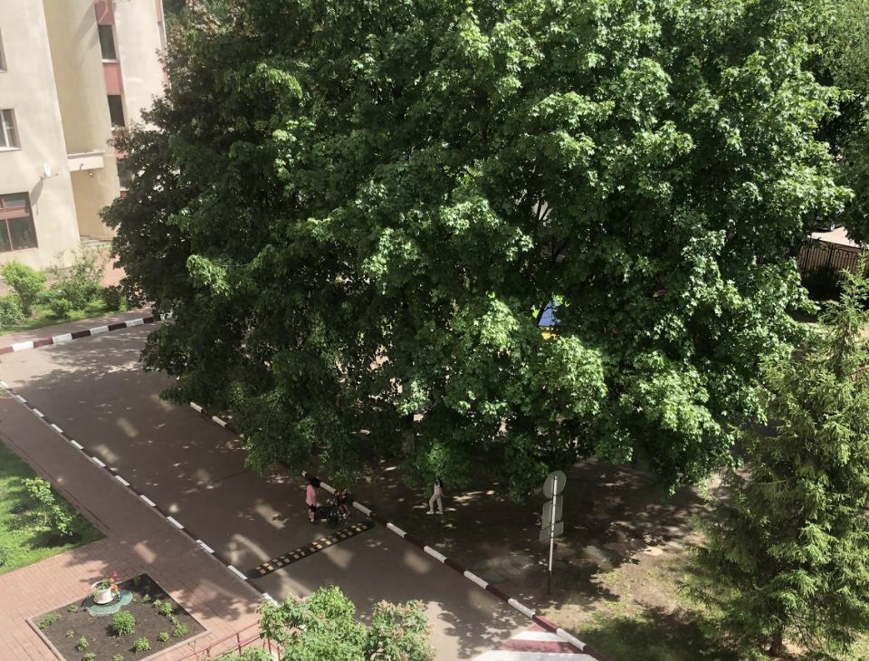 Сдам четырехкомнатную квартиру на Мичуринский проспект, 29, метро Раменки, г. Москва