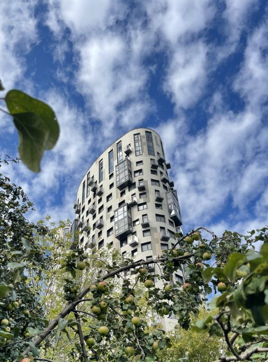 Аренда двухкомнатной квартиры на Нахимовский проспект, 31к3, метро Профсоюзная, г. Москва