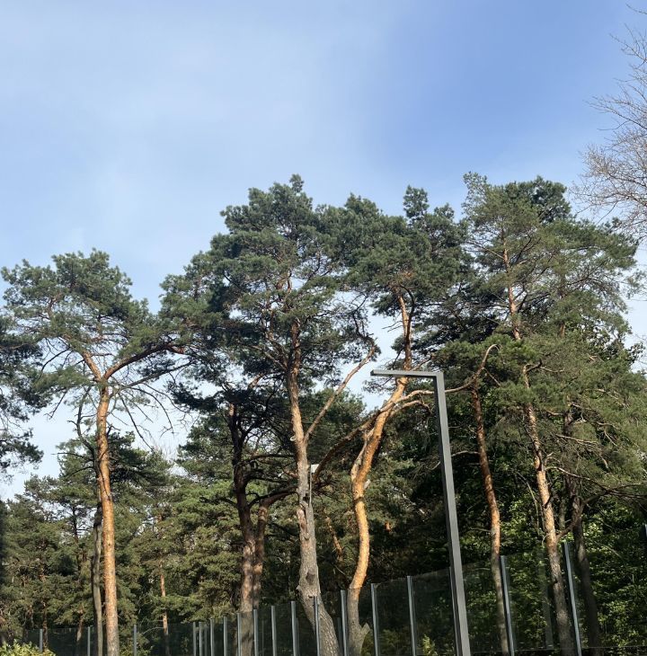 Аренда 1к квартиры на Живописная улица, 21А, метро Щукинская, г. Москва