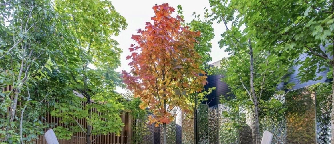 Аренда 1-комнатной квартиры на 2-я Хуторская улица, 34, метро Тимирязевская, г. Москва