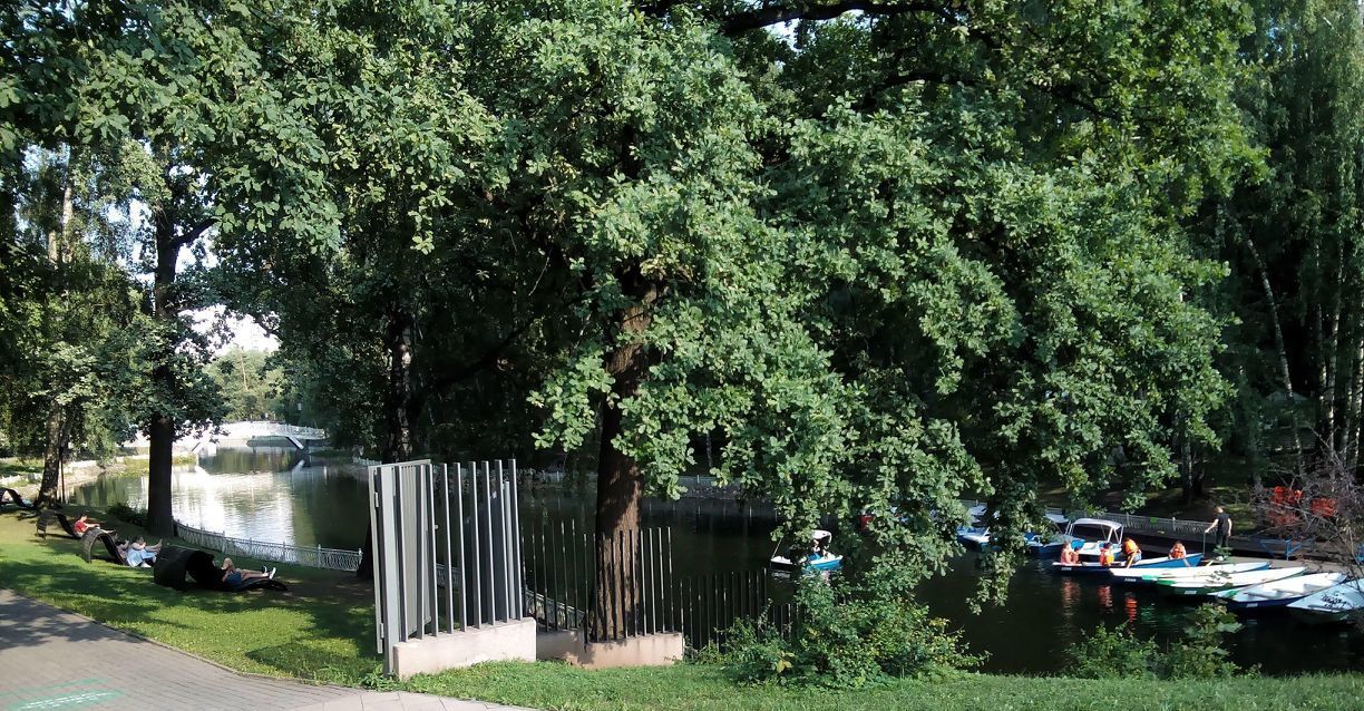 Сдаю однокомнатную квартиру на улица 2-я Ширшова, 9, г. Москва