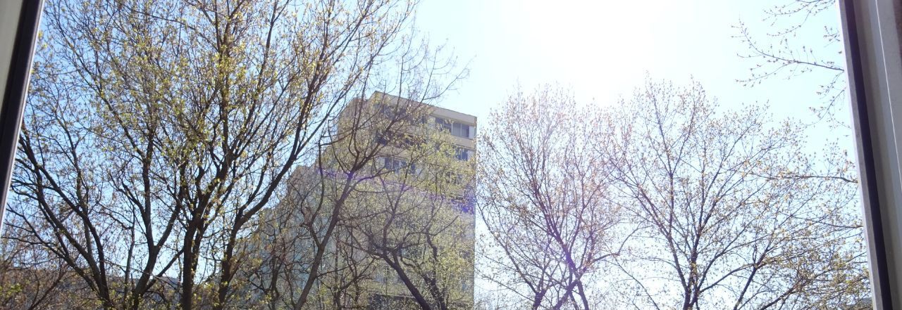 Сдам 1-к квартиру на Алтуфьевское шоссе, 32, метро Отрадное, г. Москва