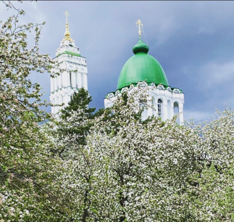 Аренда однокомнатной квартиры на улица Жемчужная, 1к7, метро Саларьево, г. Москва