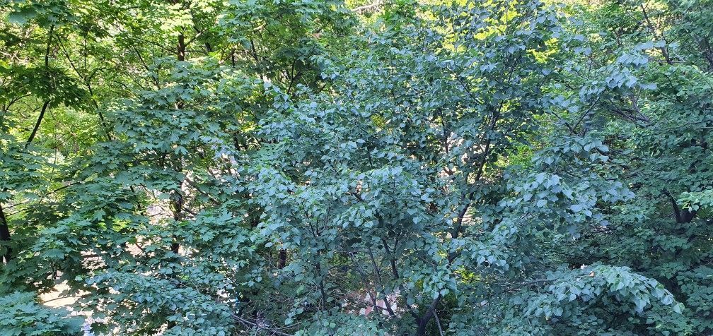 Сдается двухкомнатная квартира на Старая Басманная улица, 9к2, метро Курская, г. Москва
