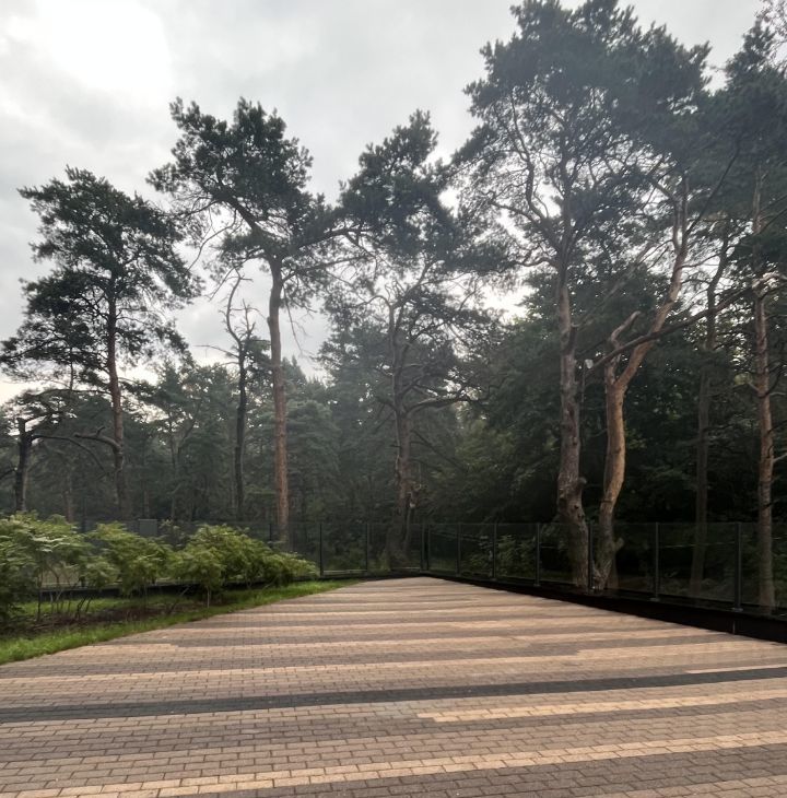 Снять 1к квартиру на Живописная улица, 21А, метро Панфиловская, г. Москва