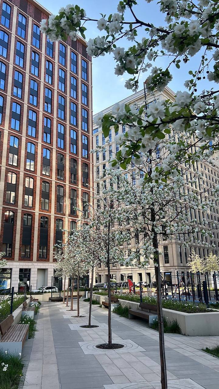 Сдается 2-к квартира на г Москва, ул Новоалексеевская, д 16 к 2, метро Алексеевская, г. Москва