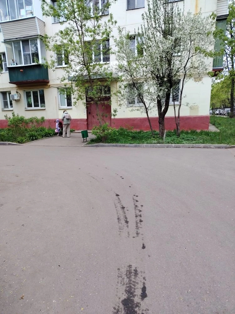 Аренда 1к квартиры на Московская обл, г Королёв, ул Гагарина, д 48, метро ВДНХ, г. Москва