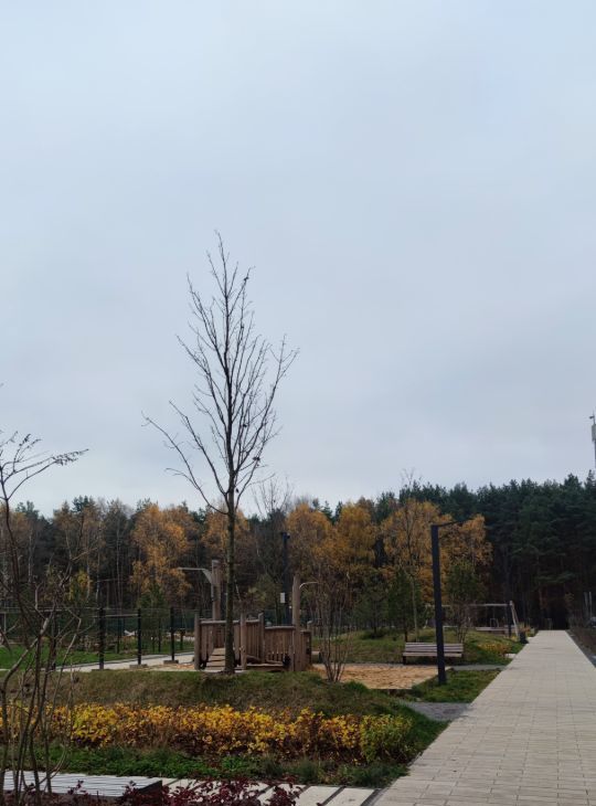 Сдаю однокомнатную квартиру на 1к3, метро Строгино, г. Москва