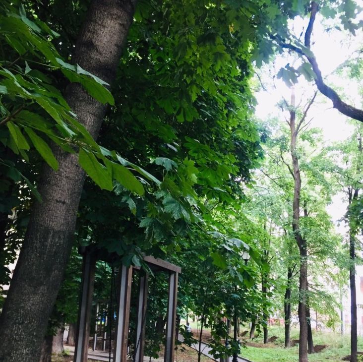 Аренда 2-к квартиры на Большая Грузинская улица, 20, метро Белорусская, г. Москва