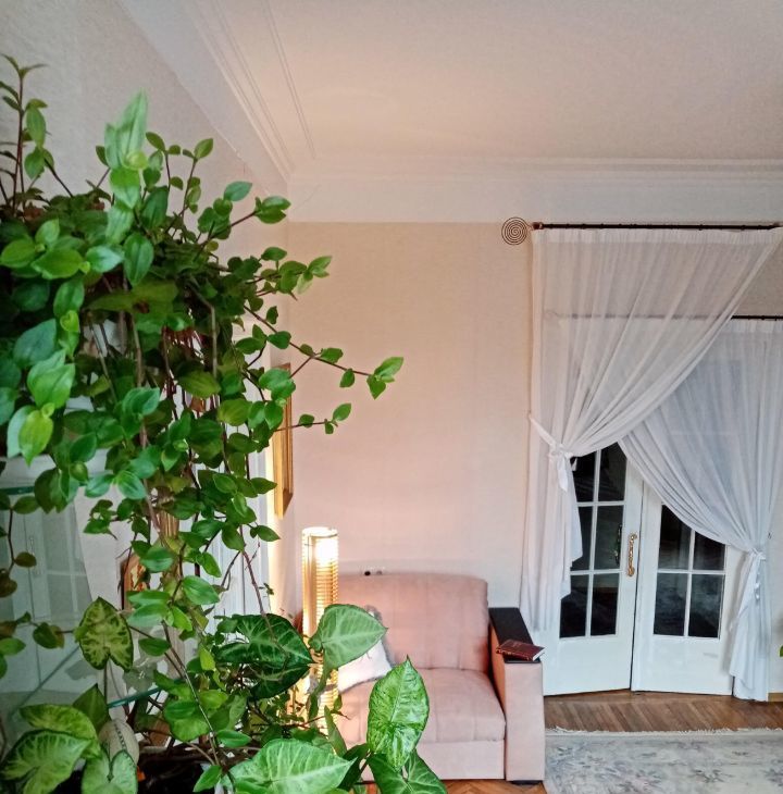 Сдаю 2-комнатную квартиру на Беговая улица, 15, метро Петровский парк, г. Москва