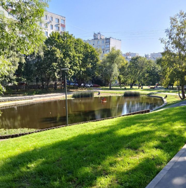 Сдам 1к квартиру на Миклухо-Маклая улица, 57К2, метро Калужская, г. Москва