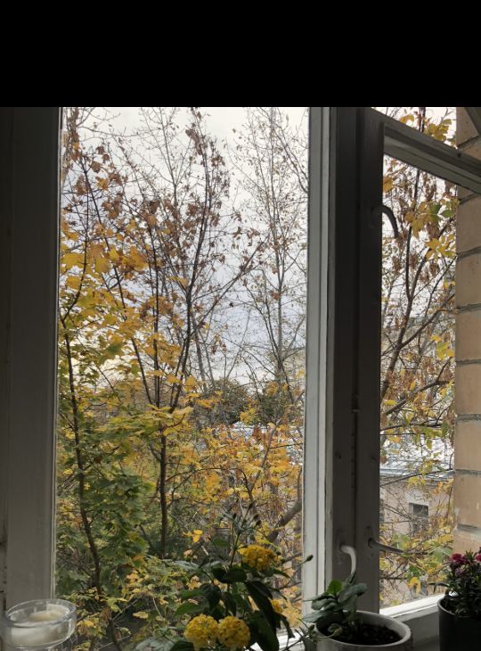 Аренда 1к квартиры на Скатертный переулок, 7, метро Боровицкая, г. Москва