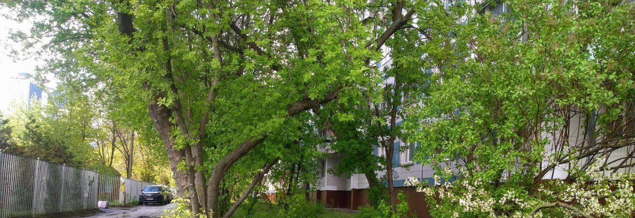 Сдам 1к квартиру на улица Раменки, 18, метро Мичуринский проспект, г. Москва