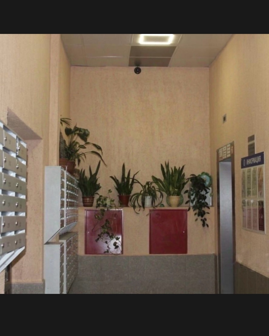 Сдается 1-к квартира на г Санкт-Петербург, ул Есенина, д 1 к 1, метро Озерки, г. Санкт-Петербург