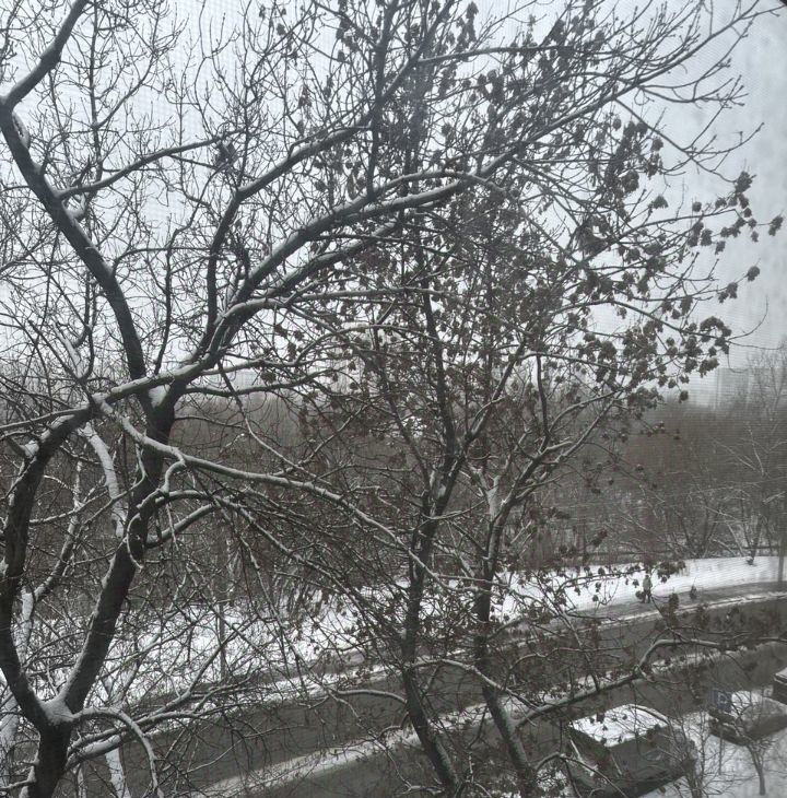 Аренда 1-к квартиры на Заповедная улица, 4, метро Отрадное, г. Москва