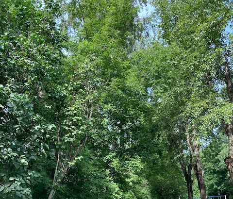 Сдается 3-к квартира на Тимирязевская улица, 20К1, метро Дмитровская, г. Москва