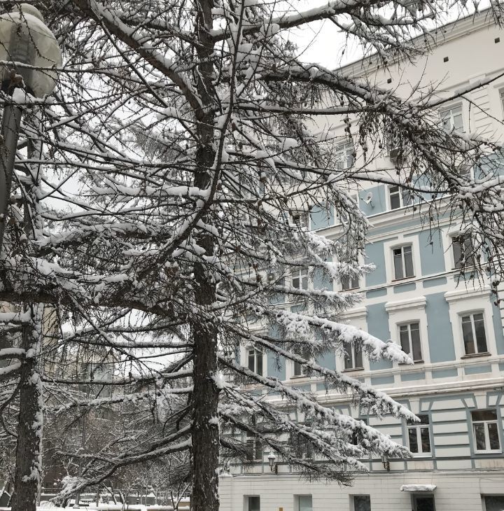 Снять двухкомнатную квартиру на Вознесенский переулок, 16/4, метро Кузнецкий Мост, г. Москва