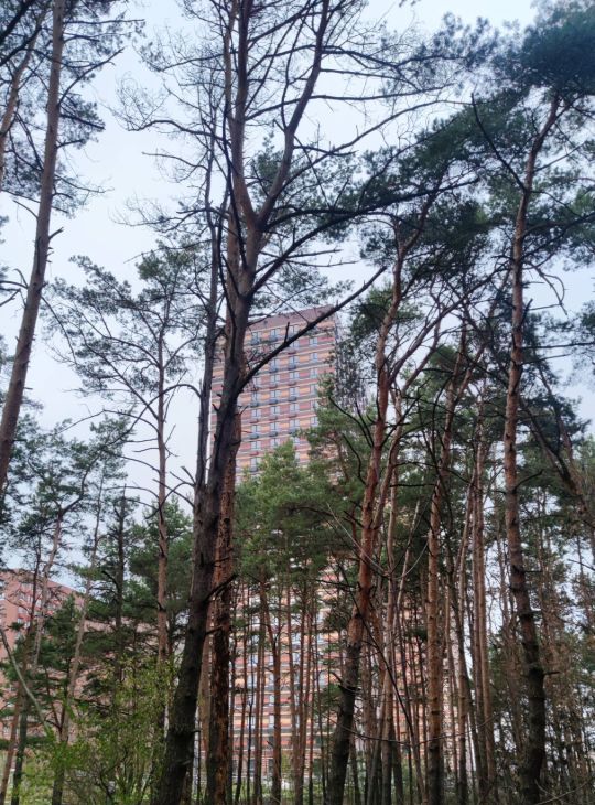 Аренда 1-комнатной квартиры на 1к3, метро Мякинино, г. Москва