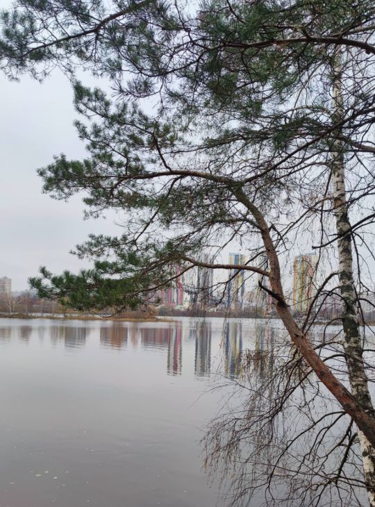 Аренда 1-к квартиры на 1к3, метро Мякинино, г. Москва