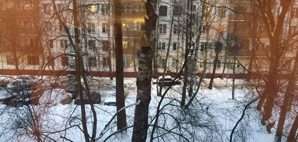 Аренда 1-комнатной квартиры на Амурская улица, 22АС4, г. Москва