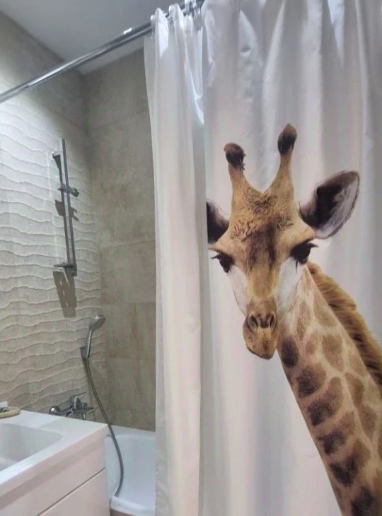 Сдается 1к квартира на проезд Чечерский, 122к1, метро Бульвар Адмирала Ушакова, г. Москва