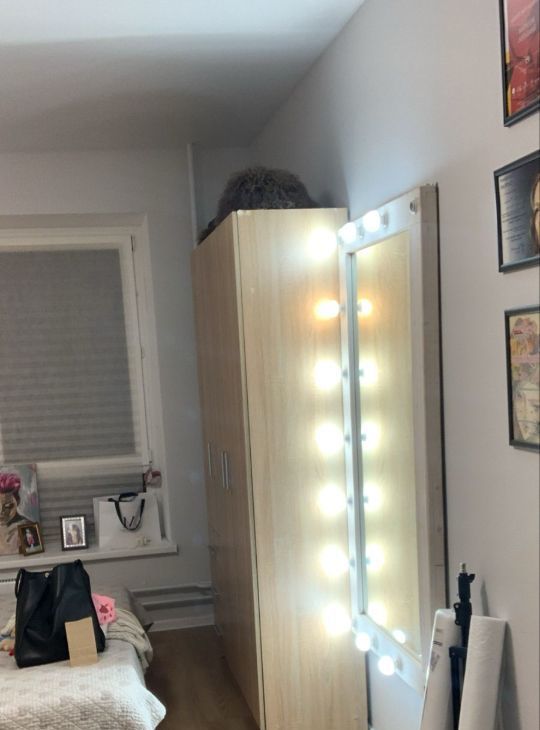 Сдаю 1-комнатную квартиру на улица Александры Монаховой, 85к1, метро Бунинская аллея, г. Москва