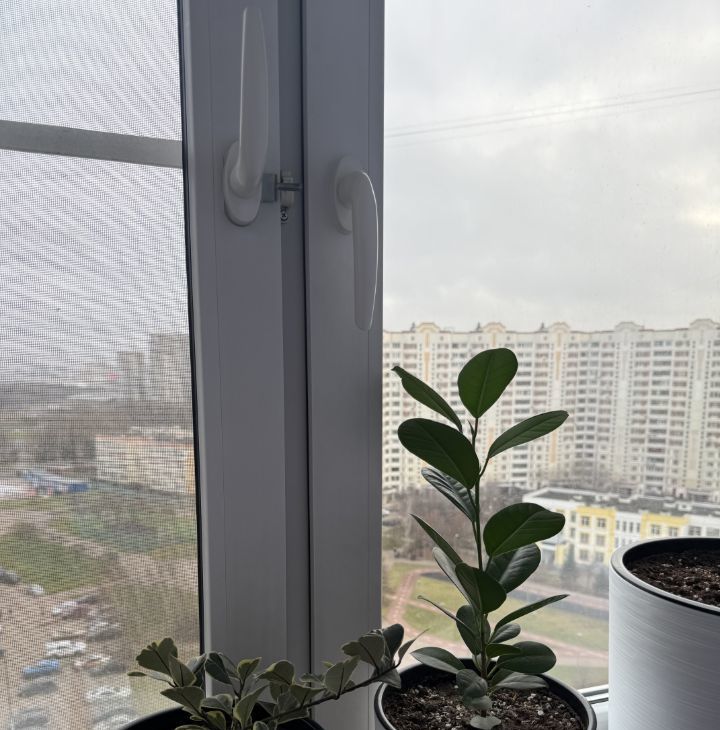 Аренда 1-комнатной квартиры на Лебедянская улица, 32, метро Орехово, г. Москва