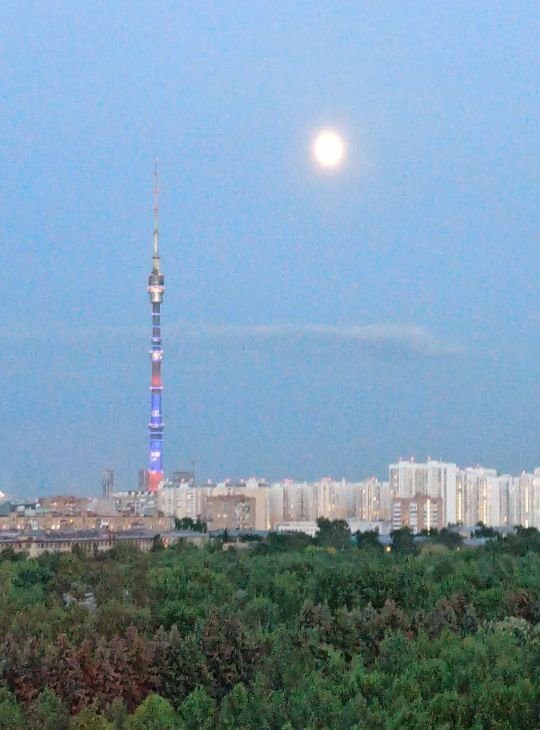 Сдам однокомнатную квартиру на Ботаническая улица, 33Вс1, г. Москва