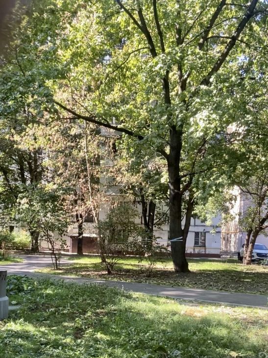 Сдается однокомнатная квартира на Ленинградский проспект, 78К3, метро Аэропорт, г. Москва