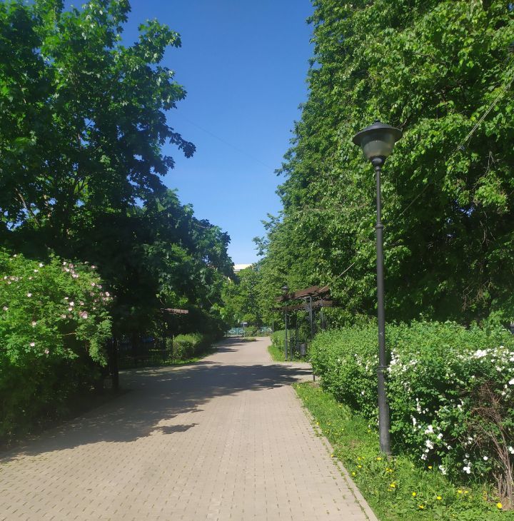 Сдается 1-к квартира на Кунцевская улица, 4К2, метро Молодёжная, г. Москва