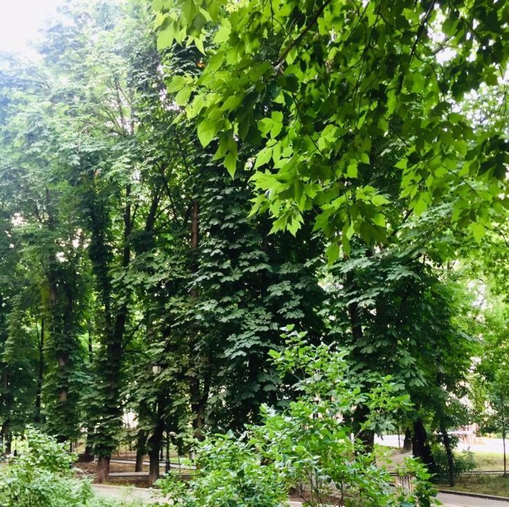 Аренда двухкомнатной квартиры на Большая Грузинская улица, 20, метро Маяковская, г. Москва