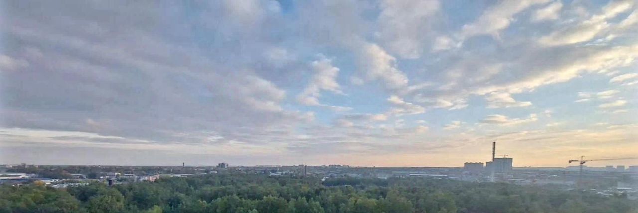 Сдаю 1к квартиру на Некрасовская улица, 7, метро Некрасовка, г. Москва