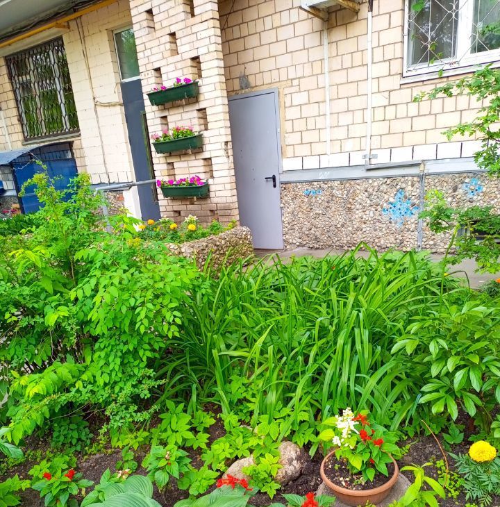 Сдается 1-к квартира на Брянская улица, 12, метро Студенческая, г. Москва
