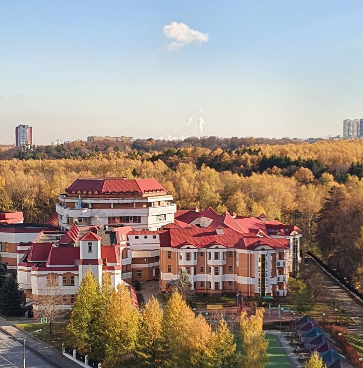 Снять 1к квартиру на улица Академика Капицы, 26К1, метро Коньково, г. Москва