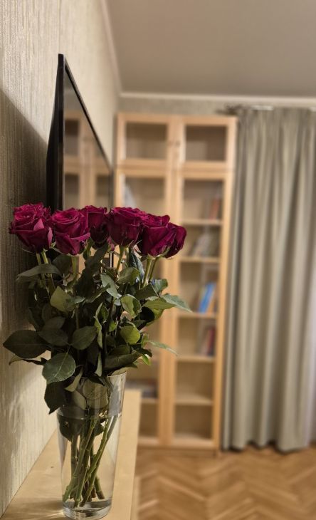 Аренда 1к квартиры на улица Вавилова, 54К1, метро Академическая, г. Москва