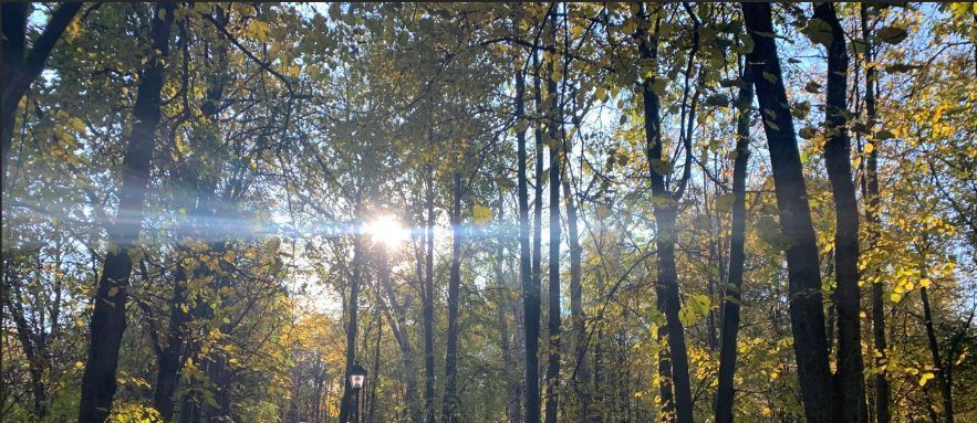 Сдам двухкомнатную квартиру на улица Шверника, 11К3, метро Академическая, г. Москва