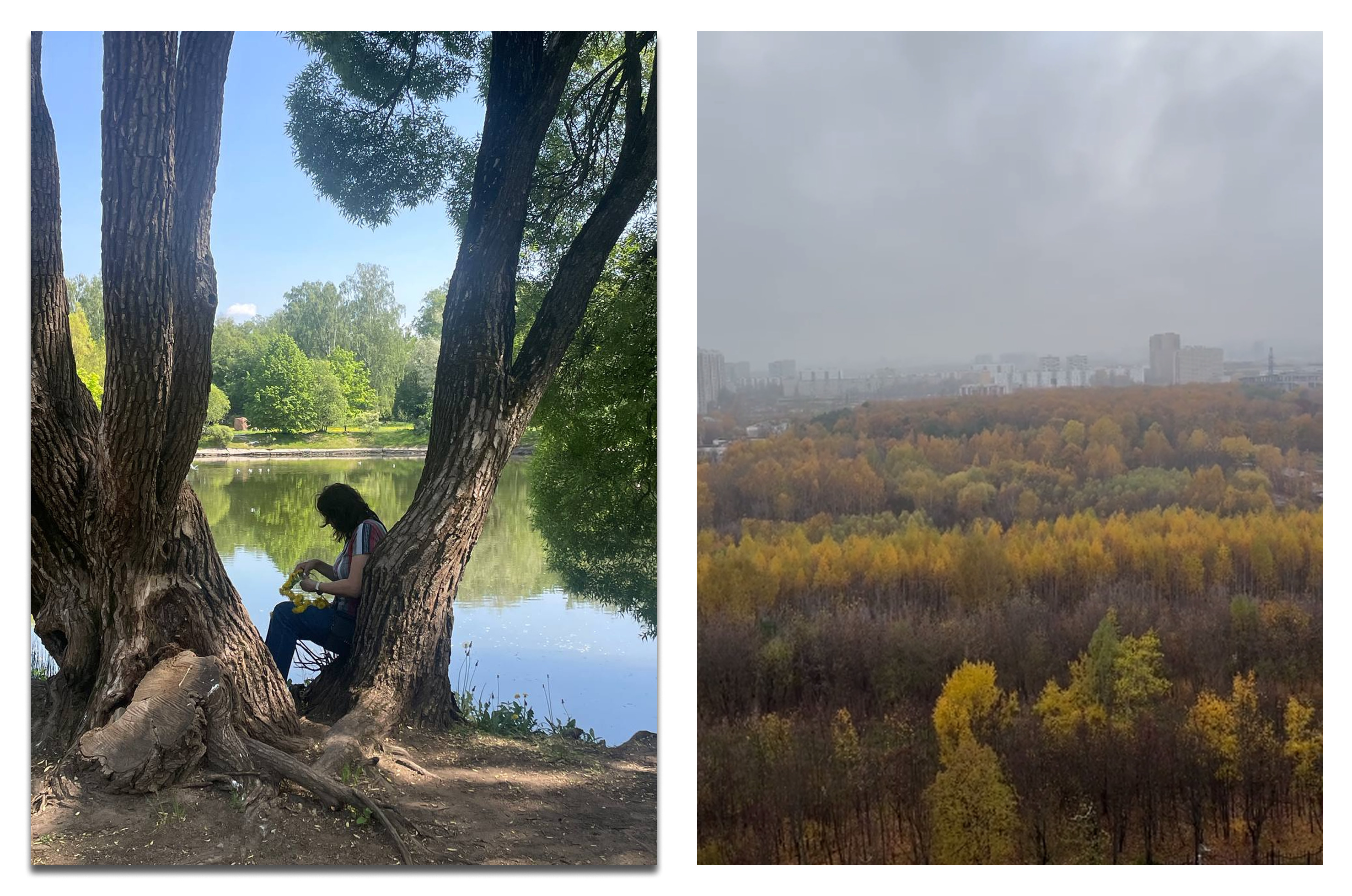 Сдам 1-к квартиру на г Москва, ул Ботаническая, д 29А к 3, метро Петровско-Разумовская, г. Москва