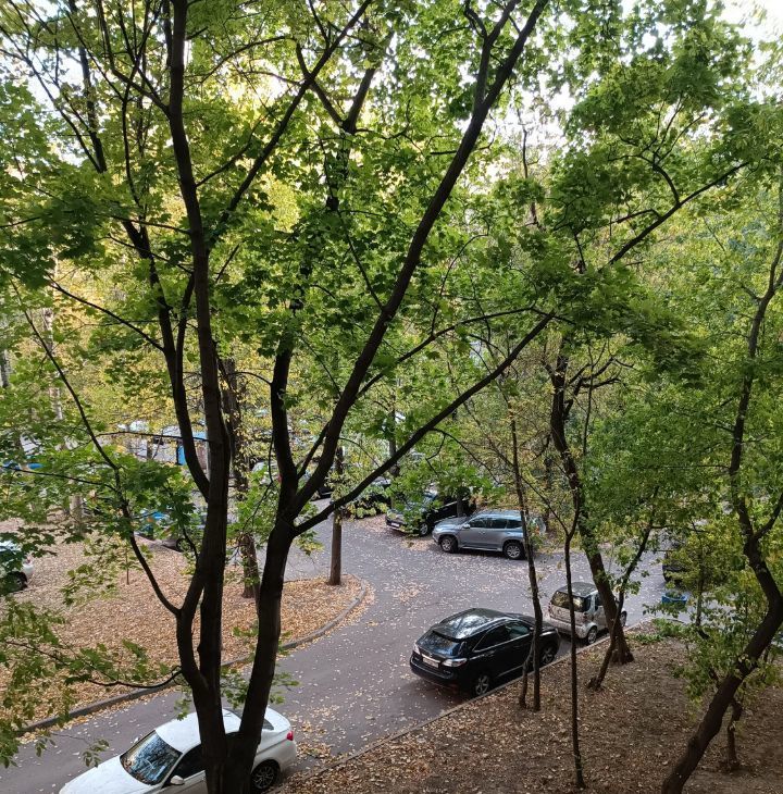 Снять 2-к квартиру на Университетский проспект, 9, метро Университет, г. Москва