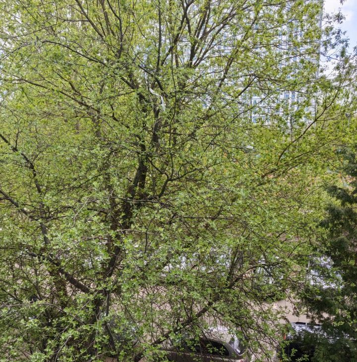 Сдаю трехкомнатную квартиру на улица Академика Анохина, 30К3, метро Юго-Западная, г. Москва